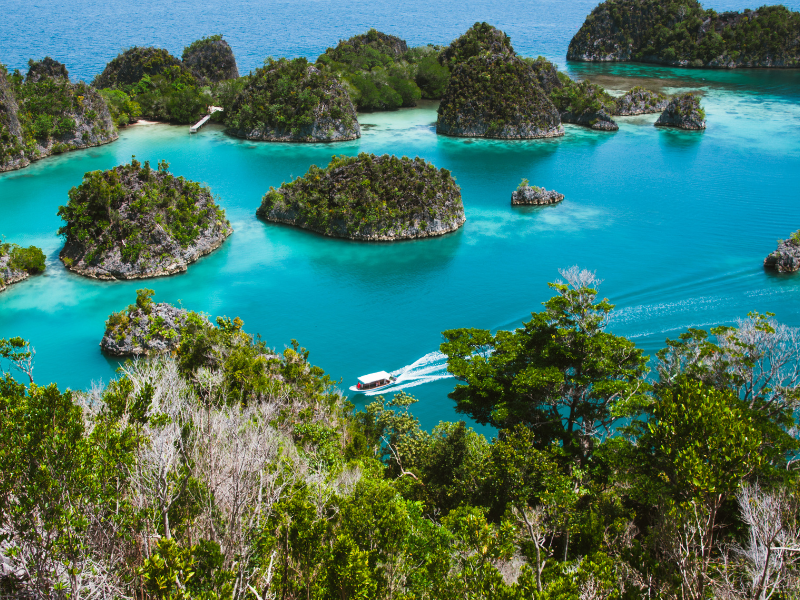 Raja Ampat Con Alessandro Caste